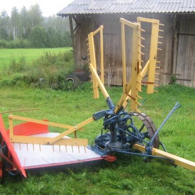 Rukkiloikus